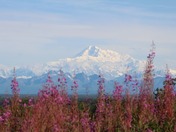 Denali National Park and Preserve 