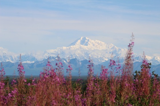 Denali National Park and Preserve 