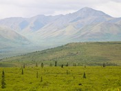 Denali National Park and Preserve 