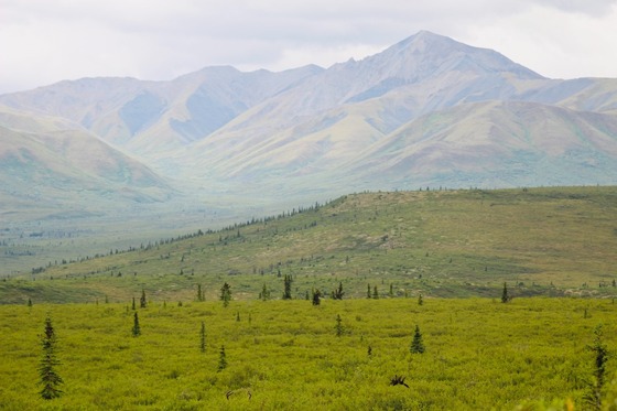 Denali National Park and Preserve 