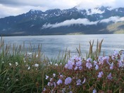 Kenai Fjords National Park 