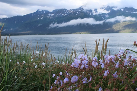 Kenai Fjords National Park 