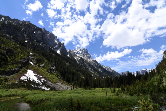 Grand Teton National Park