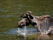 Grand Teton National Park