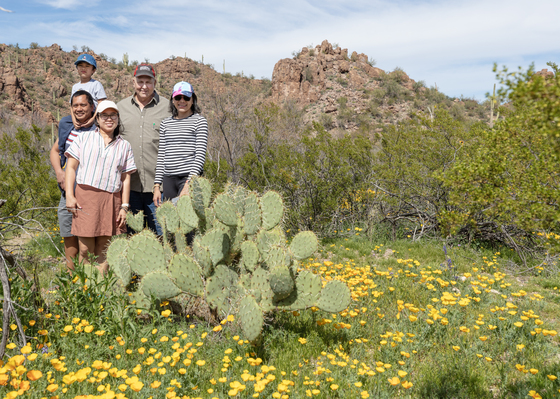 Saguaro National Park West