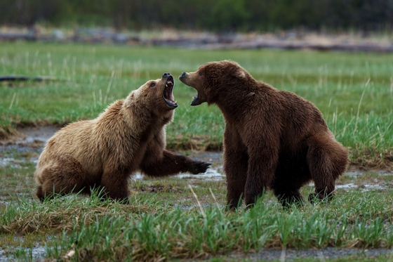 Katmai National Park