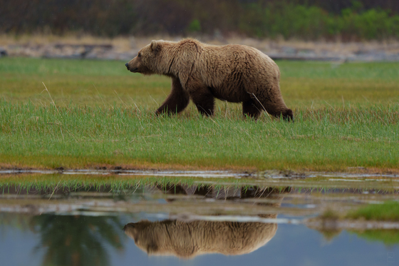 Katmai National Park