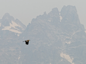 Grand Teton National Park