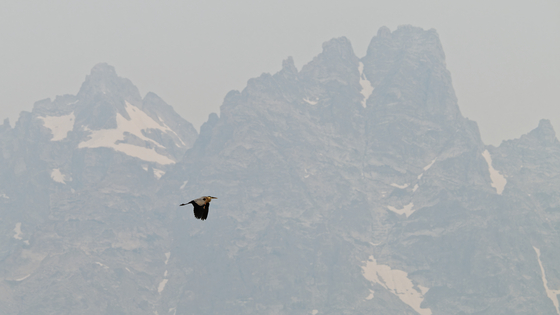 Grand Teton National Park