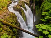Olympic National Park