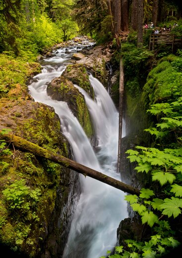 Olympic National Park