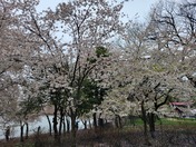 National Mall and Memorial Parks