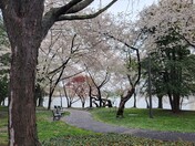 National Mall and Memorial Parks