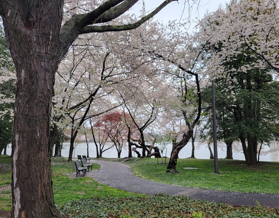 National Mall and Memorial Parks