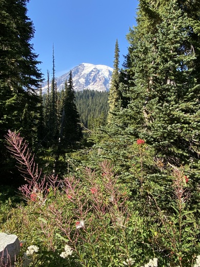 Mount Rainier National Park