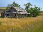 Prairie Homestead
