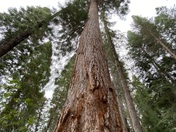 Camp Richardson in South Lake Tahoe