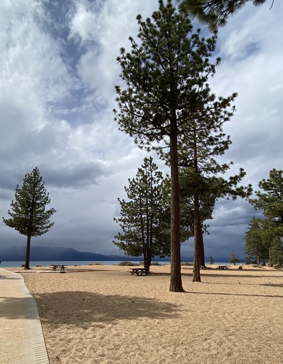 Nevada Beach