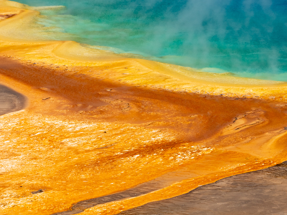 Yellowstone National Park