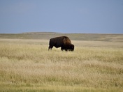 Badlands National Park
