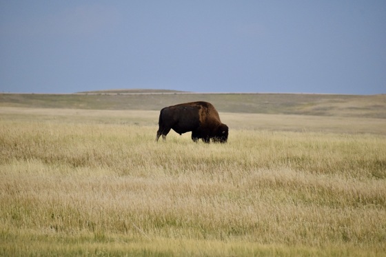 Badlands National Park