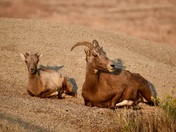 Badlands National Park