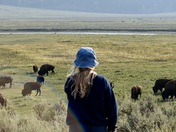 Yellowstone National Park