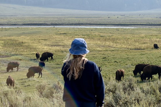 Yellowstone National Park