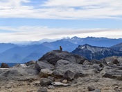 Mt Rainier National Park