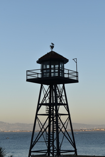 Alcatraz