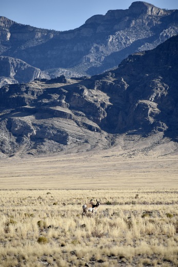 Great Basin National Park