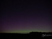 Northern Lights and Perseid Meteor Shower, Elgin County
