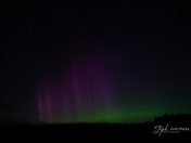 Northern Lights and Perseid Meteor Shower, Elgin County