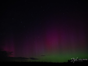 Northern Lights and Perseid Meteor Shower, Elgin County