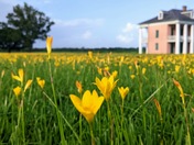 Jean Lafitte National Historical Park & Preserve