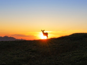 Olympic National Park