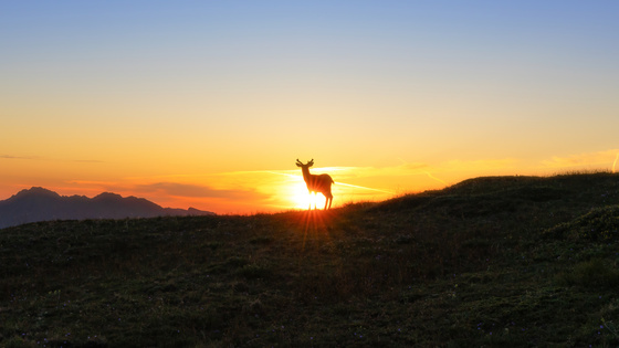 Olympic National Park