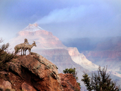 Grand Canyon National Park
