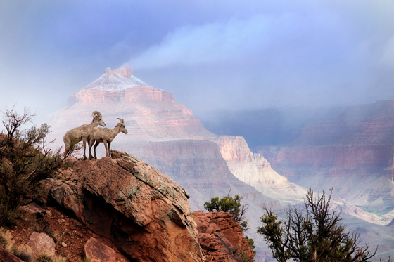 Grand Canyon National Park