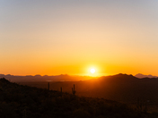 Saguaro National Park