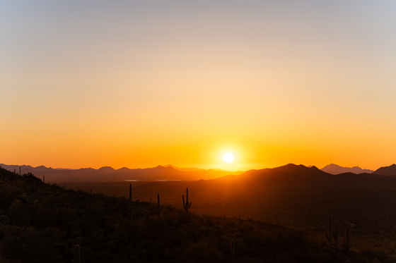 Saguaro National Park