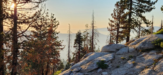 Kings Canyon National Park