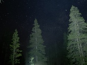 Kings Canyon National Park