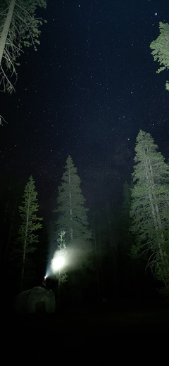 Kings Canyon National Park