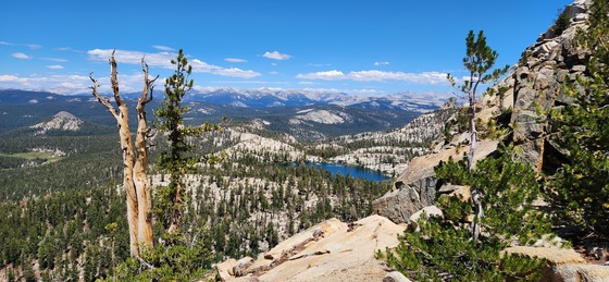 Sierra National Forest 