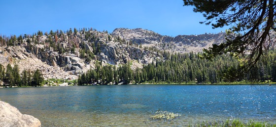 Sierra National Forest 
