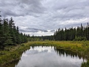 Denali National Park & Preserve
