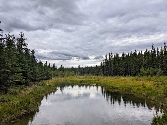 Denali National Park & Preserve