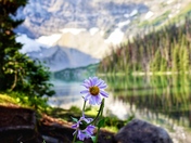 Rawson Lake Trail - Kananaskis Country 