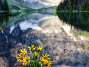 Rawson Lake Trail - Kananaskis Country 